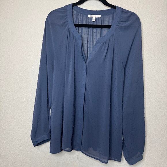 DR2 Blue Chiffon Clip Dot Sheer Button Front Blouse Sz Large - Picture 1 of 11